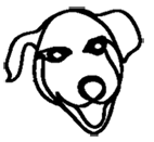 Día del Perro sin Raza